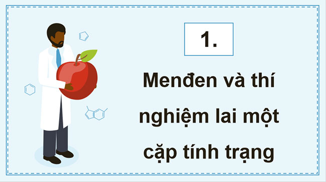  Các quy luật di truyền của Mendel 
