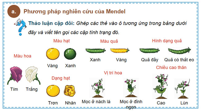 Các quy luật di truyền của Mendel 