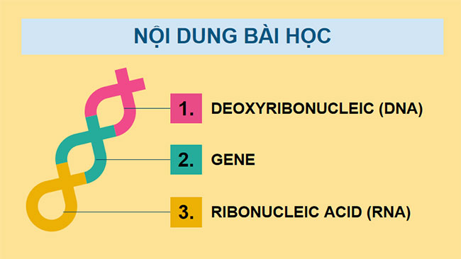 PowerPoint KHTN 9 Bài 37: Nucleic acid và ứng dụng