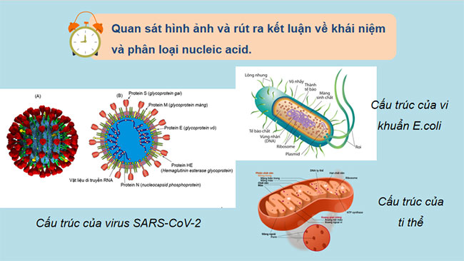 PowerPoint KHTN 9 Bài 37: Nucleic acid và ứng dụng
