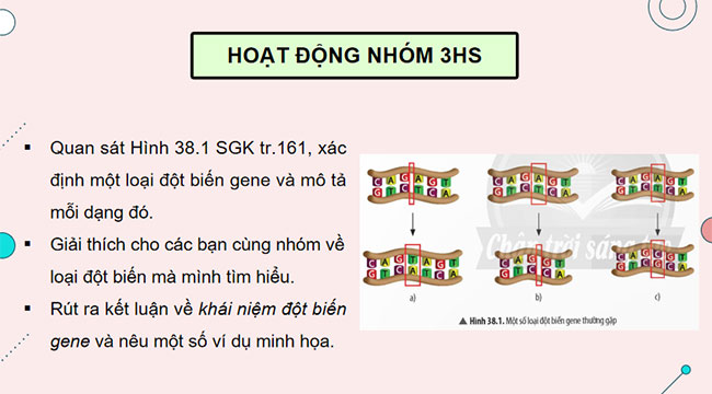 PowerPoint KHTN 9 Bài 38: Đột biến gene
