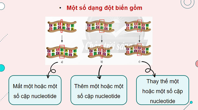 PowerPoint KHTN 9 Bài 38: Đột biến gene