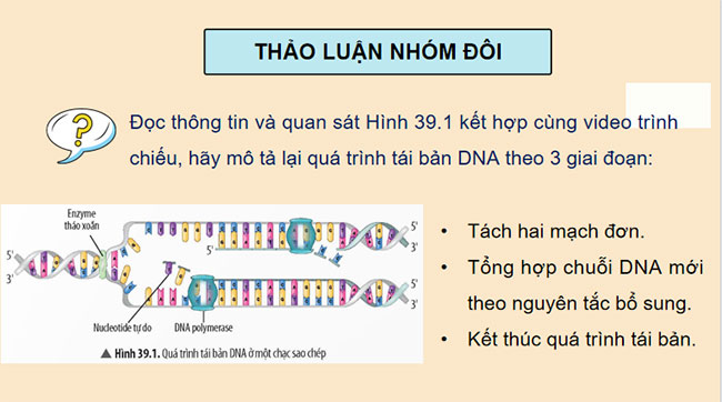 Quá trình tái bản, phiên mã và dịch mã