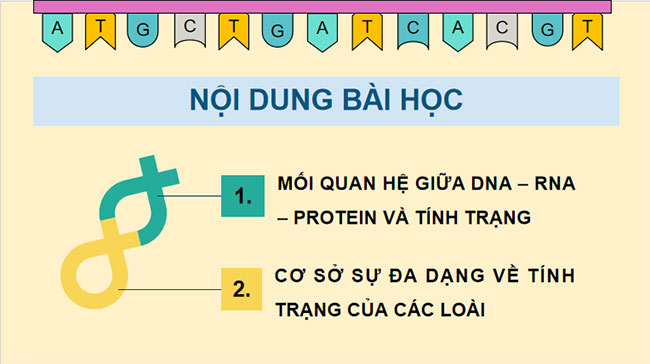 PowerPoint KHTN 9 Bài 40: Từ gene đến tính trạng