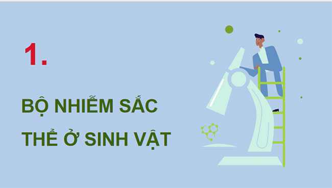 PowerPoint KHTN 9 Bài 41