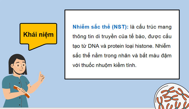 PowerPoint KHTN 9 Bài 41