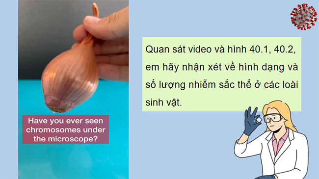 PowerPoint KHTN 9 Bài 41