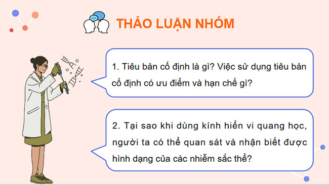 Thực hành Quan sát tiêu bản nhiễm sắc thể