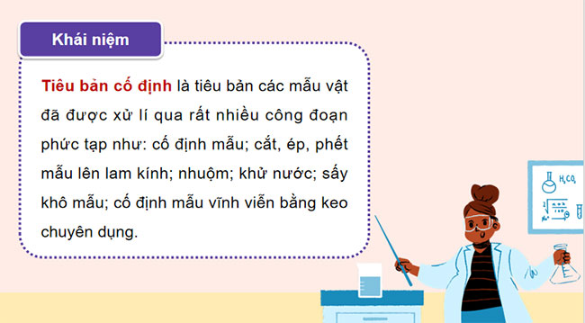Thực hành Quan sát tiêu bản nhiễm sắc thể