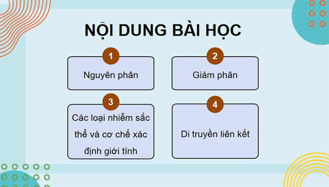PowerPoint KHTN 9 Bài 43: Di truyền nhiễm sắc thể 