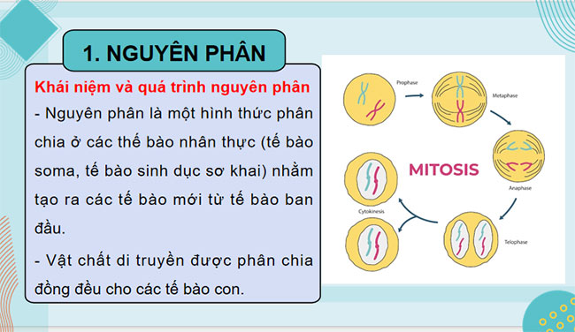 PowerPoint KHTN 9 Bài 43: Di truyền nhiễm sắc thể 