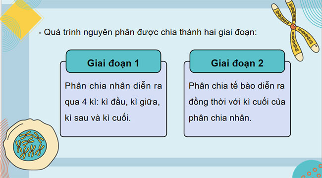 PowerPoint KHTN 9 Bài 43: Di truyền nhiễm sắc thể 