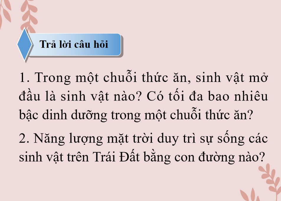 Bài giảng PowerPoint KHTN 9 Kết nối tri thức Bài 16