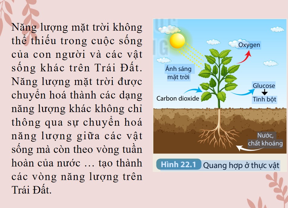 Bài giảng PowerPoint KHTN 9 Kết nối tri thức Bài 16