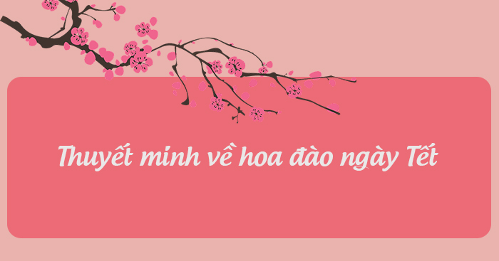 Thuyết minh về hoa đào