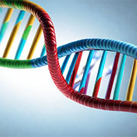 PowerPoint Khoa học tự nhiên 9 Bài 45: Ứng dụng công nghệ di truyền vào đời sống