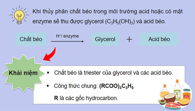 PowerPoint Khoa học tự nhiên 9 Bài 26: Lipid và chất béo