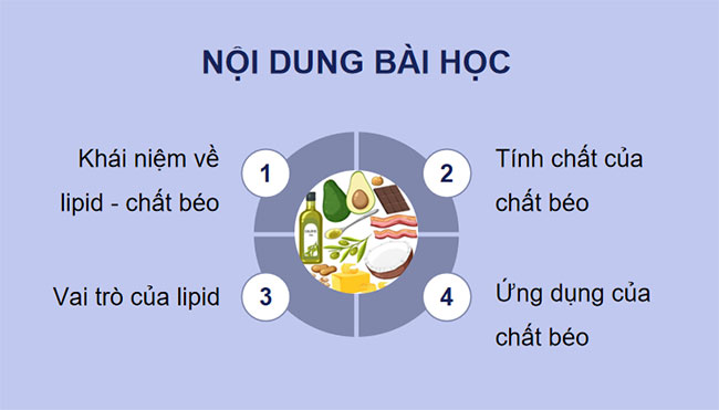 PowerPoint Khoa học tự nhiên 9 Bài 26: Lipid và chất béo