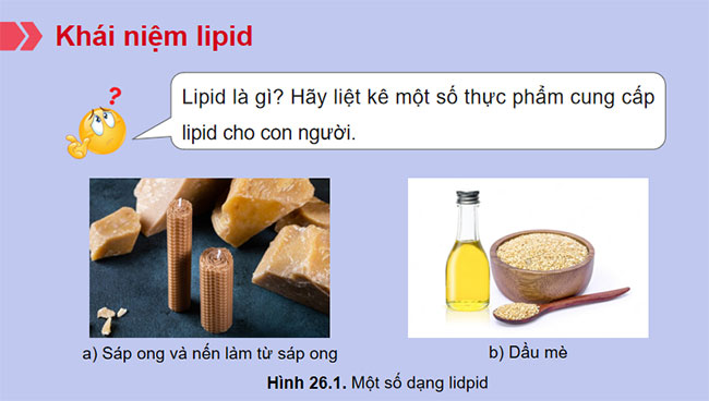 PowerPoint Khoa học tự nhiên 9 Bài 26: Lipid và chất béo