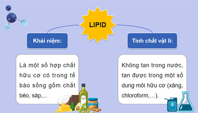 PowerPoint Khoa học tự nhiên 9 Bài 26: Lipid và chất béo