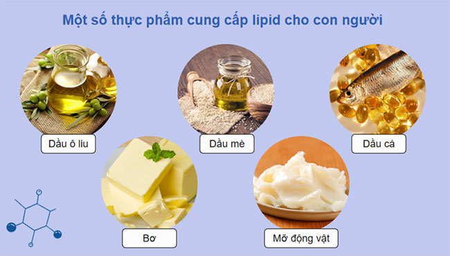 PowerPoint Khoa học tự nhiên 9 Bài 26: Lipid và chất béo