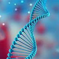 PowerPoint Khoa học tự nhiên 9 Bài 33: Gene là trung tâm của di truyền học