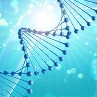 PowerPoint Khoa học tự nhiên 9 Bài 34: Từ gene đến tính trạng