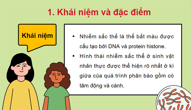 Giáo án PowerPoint KHTN 9 Bài 35 Cánh diều