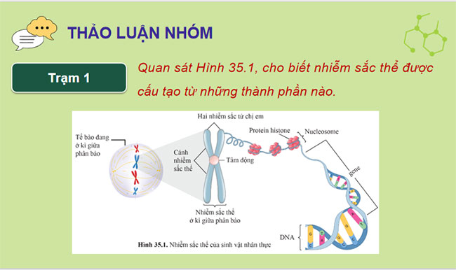 Giáo án PowerPoint KHTN 9 Bài 35 Cánh diều