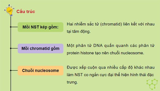 Giáo án PowerPoint KHTN 9 Bài 35 Cánh diều