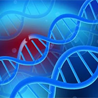 PowerPoint Khoa học tự nhiên 9 Bài 35: Nhiễm sắc thể và bộ nhiễm sắc thể