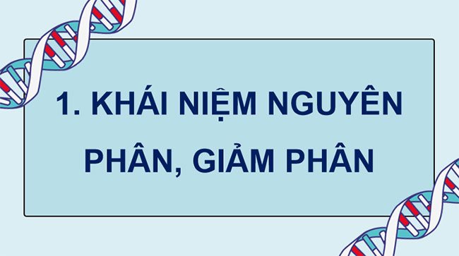 Giáo án PowerPoint KHTN 9 Bài 36 