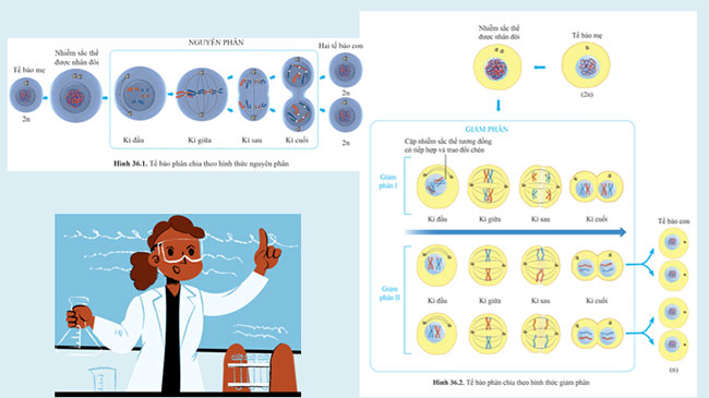 Giáo án PowerPoint KHTN 9 Bài 36 
