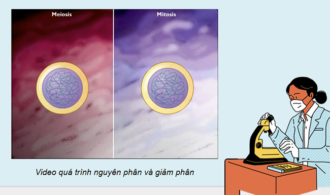 Giáo án PowerPoint KHTN 9 Bài 36 