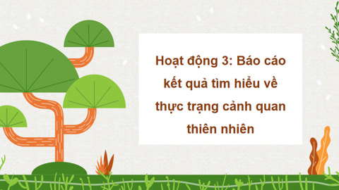 PowerPoint Hoạt động trải nghiệm 5 CTST Tuần 29