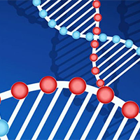 PowerPoint Khoa học tự nhiên 9 Bài 37: Đột biến nhiễm sắc thể