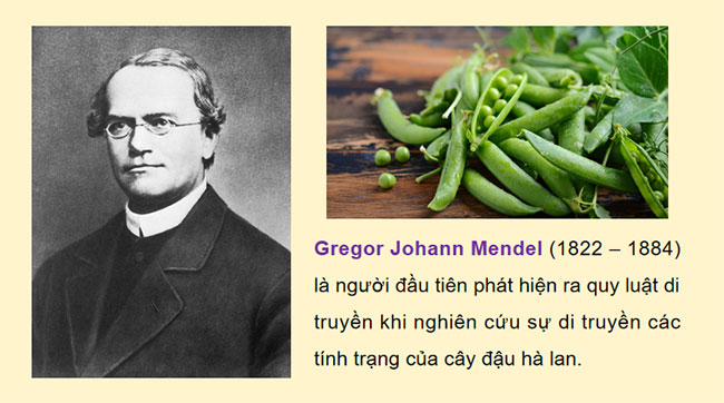 Giáo án Sinh học 9 Cánh diều Bài 38