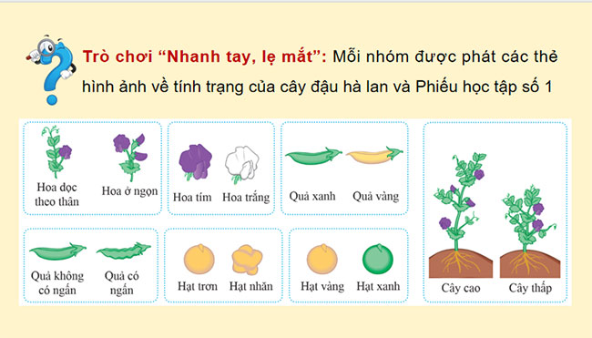 Giáo án Sinh học 9 Cánh diều Bài 38