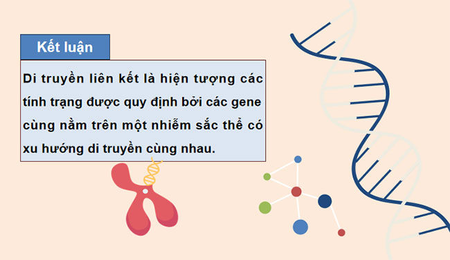 Giáo án Sinh học 9 Cánh diều Bài 39