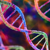 PowerPoint Khoa học tự nhiên 9 Bài 39: Di truyền liên kết và cơ chế xác định giới tính