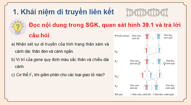 Giáo án Sinh học 9 Cánh diều Bài 39