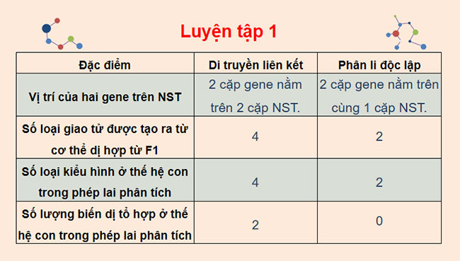 Giáo án Sinh học 9 Cánh diều Bài 39