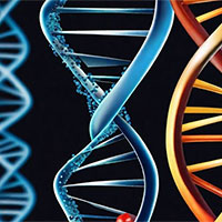 PowerPoint Khoa học tự nhiên 9 Bài 40: Di truyền học người