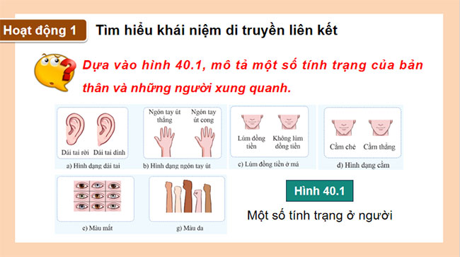 PowerPoint KHTN 9 Bài 40