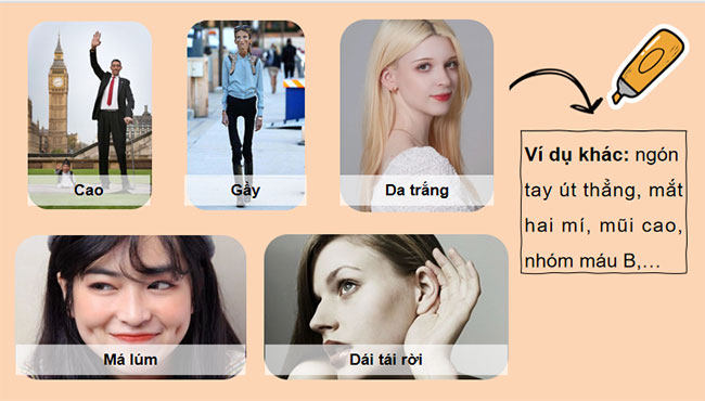 PowerPoint KHTN 9 Bài 40