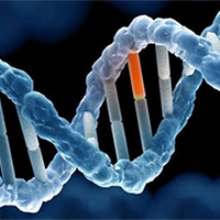 PowerPoint Khoa học tự nhiên 9 Bài 41: Ứng dụng công nghệ di truyền vào đời sống