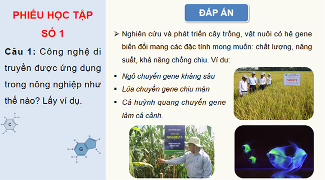 PowerPoint KHTN 9 Bài 41