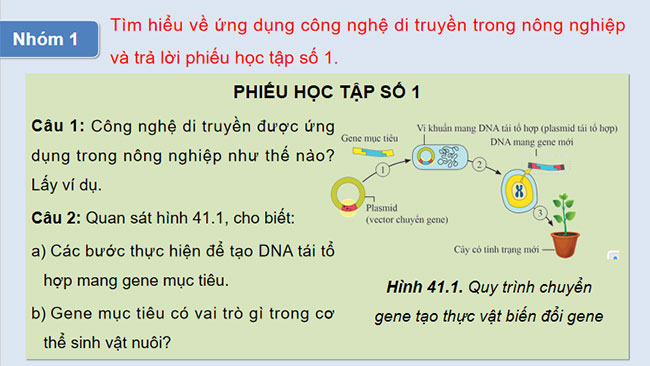 PowerPoint KHTN 9 Bài 41