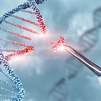 PowerPoint Khoa học tự nhiên 9: Bài tập Chủ đề 11