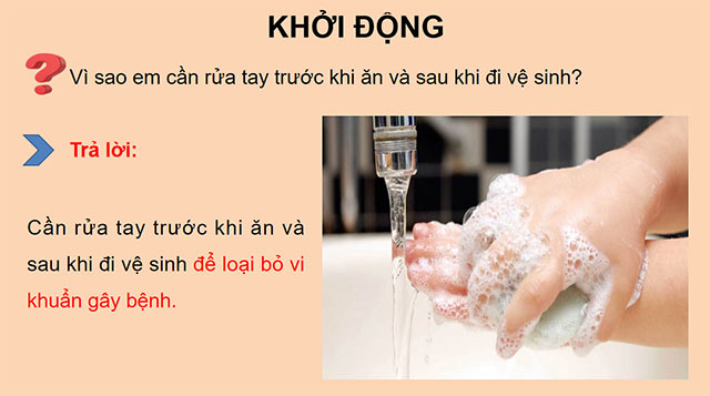 PowerPoint Vi khuẩn quanh ta